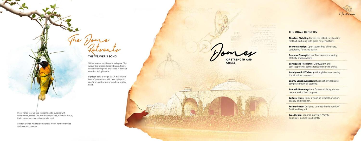 Brochure page 5