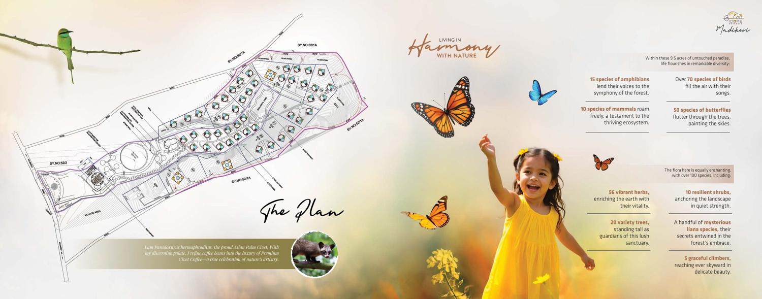 Brochure page 7