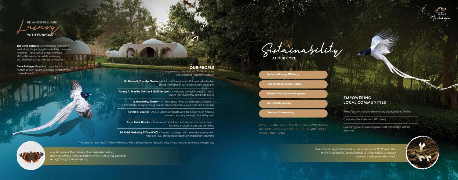 Brochure page 8