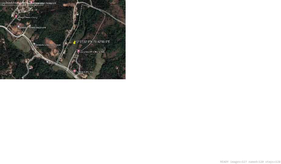 Wildlife recorded on campus during the biodiversity survey — The Dome Retreats, Madikeri, Western Ghats (survey photo 01)