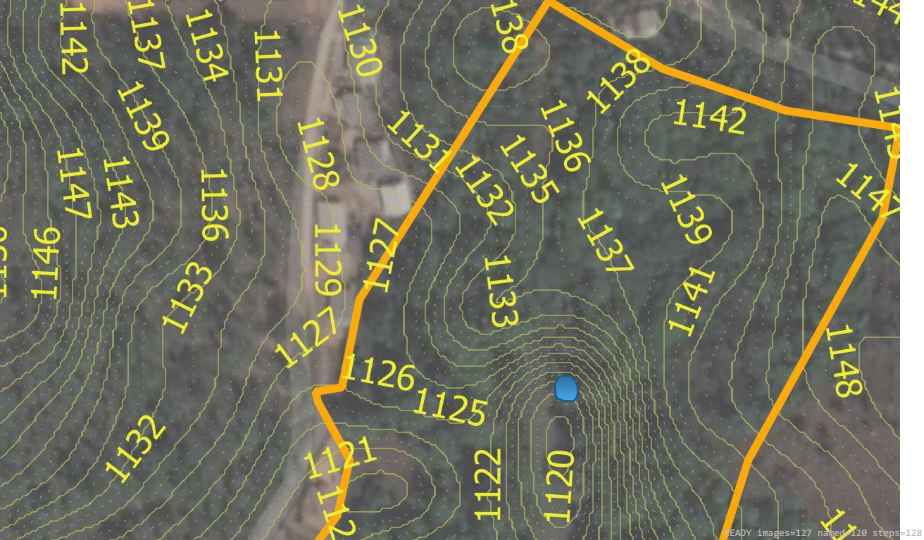 Wildlife recorded on campus during the biodiversity survey — The Dome Retreats, Madikeri, Western Ghats (survey photo 03)