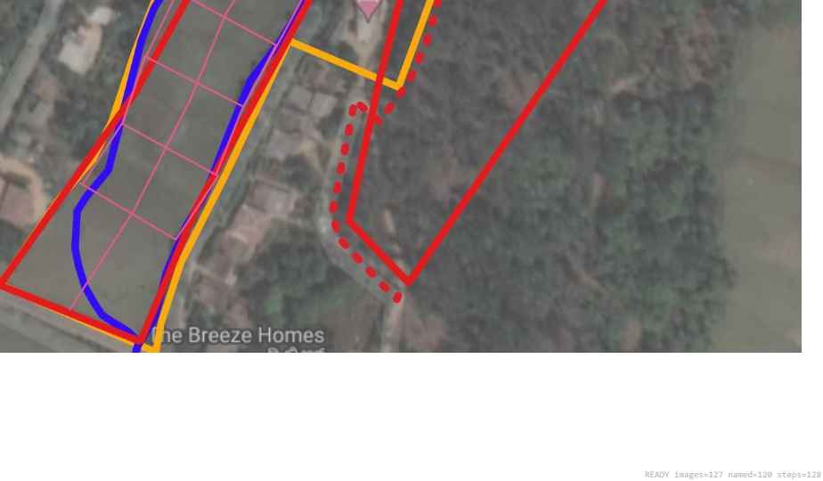 Wildlife recorded on campus during the biodiversity survey — The Dome Retreats, Madikeri, Western Ghats (survey photo 10)