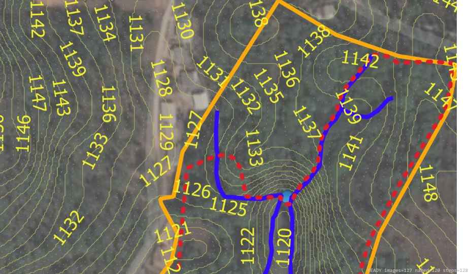 Wildlife recorded on campus during the biodiversity survey — The Dome Retreats, Madikeri, Western Ghats (survey photo 11)
