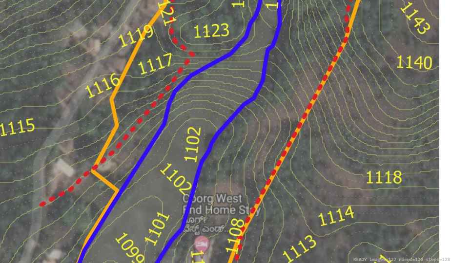 Wildlife recorded on campus during the biodiversity survey — The Dome Retreats, Madikeri, Western Ghats (survey photo 12)