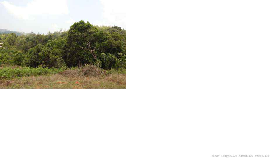 Wildlife recorded on campus during the biodiversity survey — The Dome Retreats, Madikeri, Western Ghats (survey photo 15)